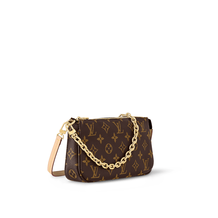 Louis Vuitton Pochette Accessoires - Image 2