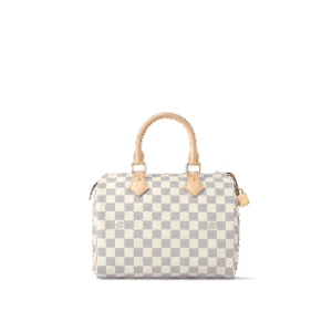 Louis Vuitton Speedy 25
