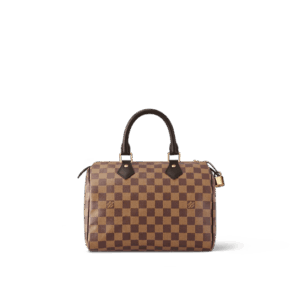 Louis Vuitton Speedy 25