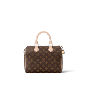 Louis Vuitton Speedy 25