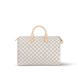 Louis Vuitton Speedy 35