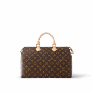 Louis Vuitton Speedy 35
