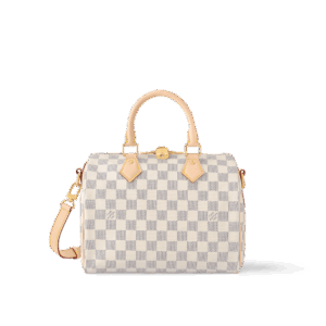 Louis Vuitton Speedy Bandoulière 25
