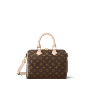 Louis Vuitton Speedy Bandoulière 25
