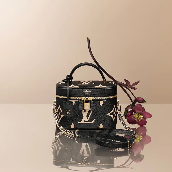 Louis Vuitton Vanity PM - Image 5
