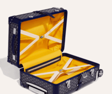 Goyard Bourget PM Trolley Case - Image 3