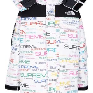 Supreme x TNF Coldworks 700-Fill down parka