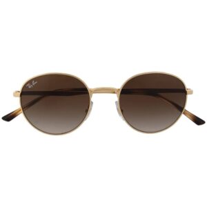 Ray-Ban RB3681 round-frame sunglasses
