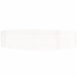 Louis Vuitton ribbed silk cummerbund