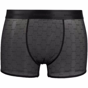Dsquared2  logo-embroidered tulle-mesh boxers