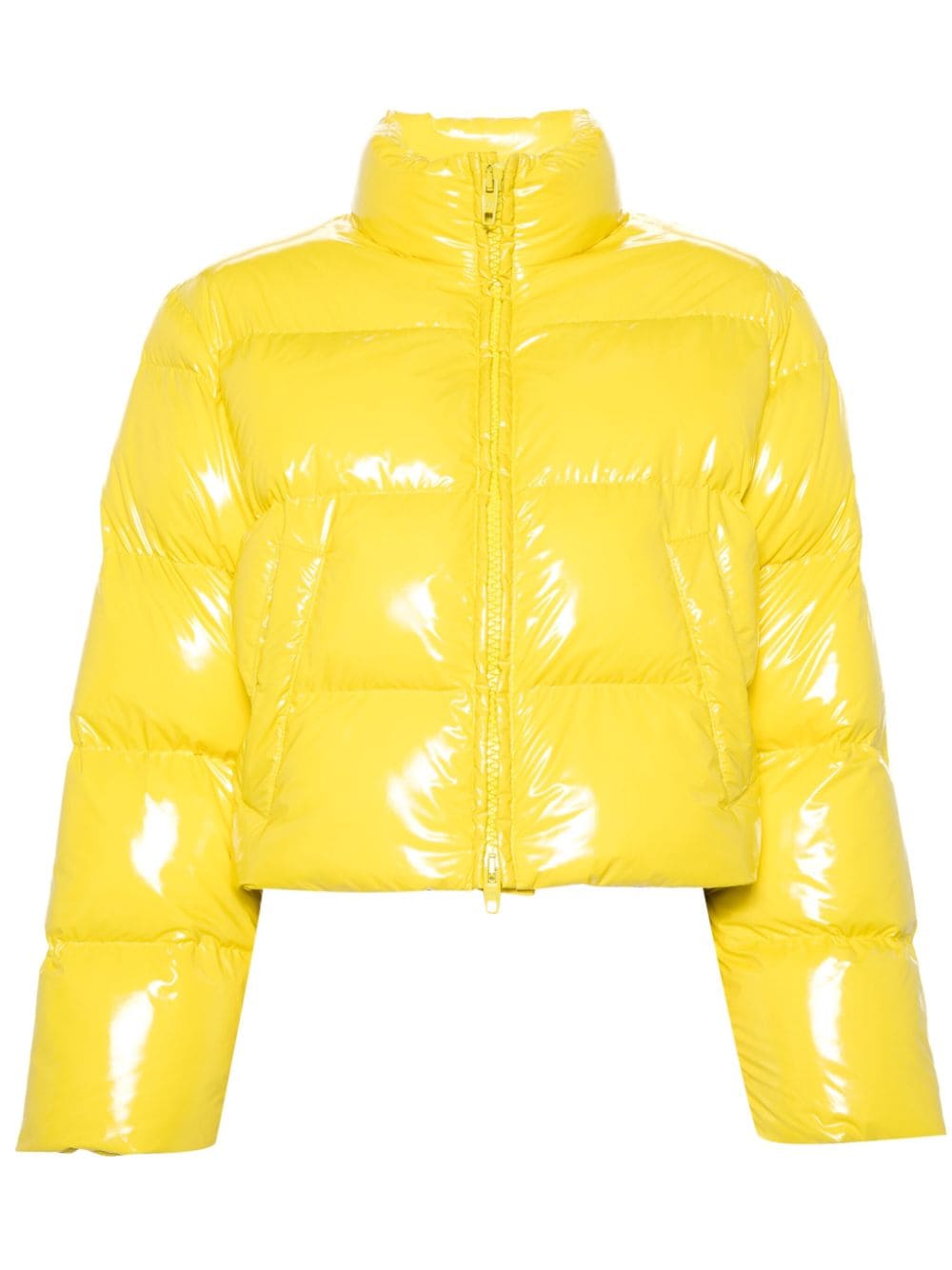 Balenciaga cropped puffer jacket