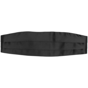 Louis Vuitton pleated silk cummerbund