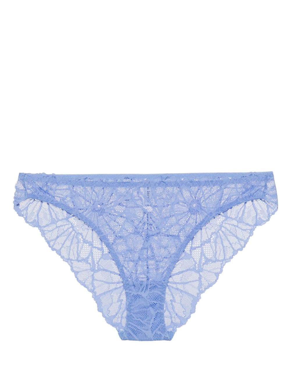 Dora Larsen Lena floral lace briefs