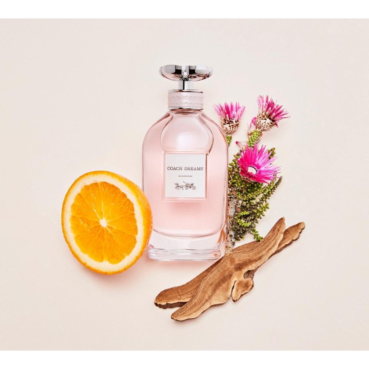 Coach Dreams EDP - Image 3