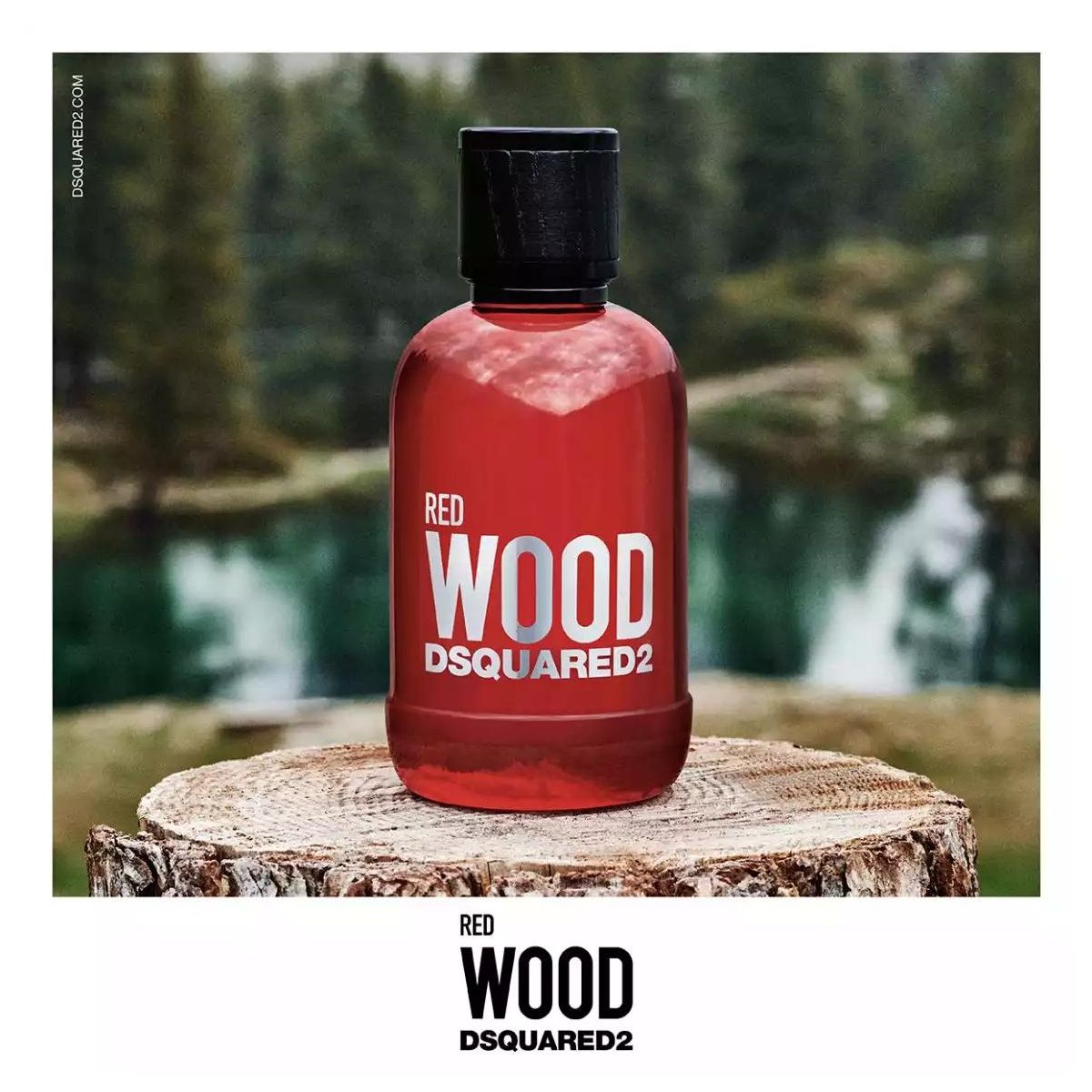 Dsquared2 Red Wood EDT - Image 3