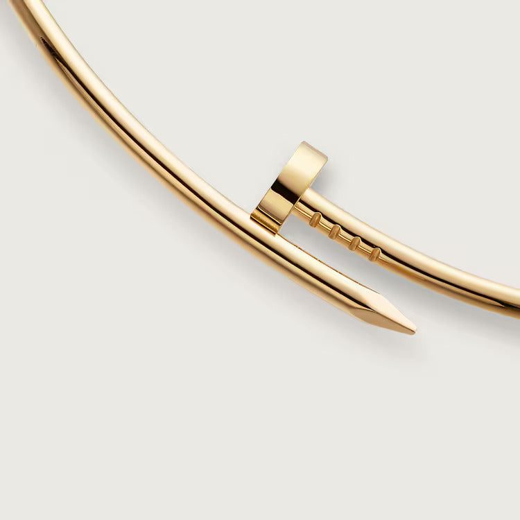 Cartier Juste un Clou torque necklace, small model - Image 4