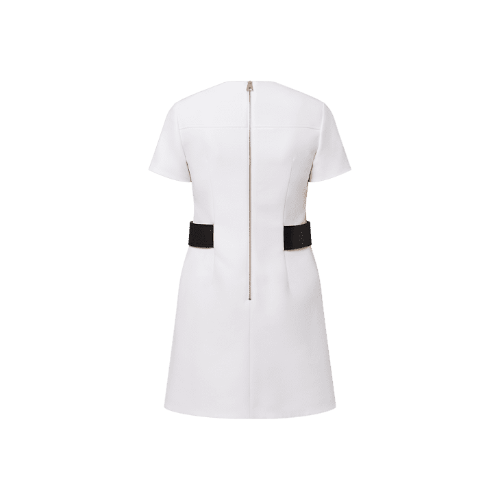 Louis Vuitton Anchor Button Martingale Dress - Image 3