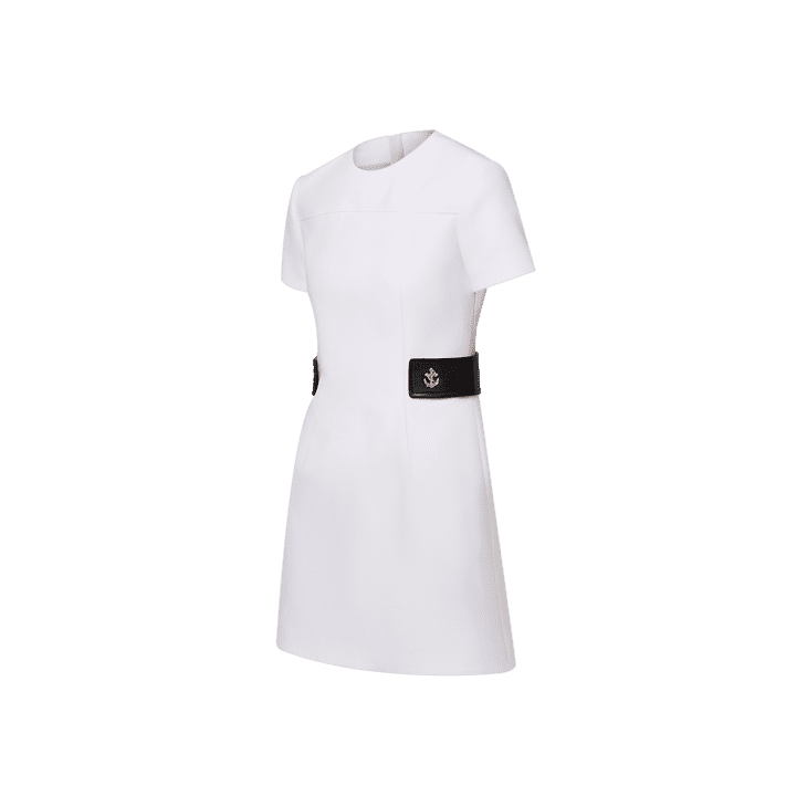 Louis Vuitton Anchor Button Martingale Dress - Image 2