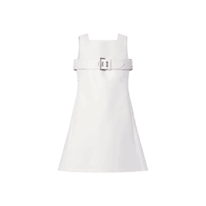 Louis Vuitton Belt Detail Dress