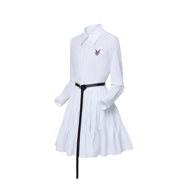 Louis Vuitton Belted Shirt Dress