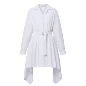 Louis Vuitton Monogram Fil Coupé Belted Shirt Dress