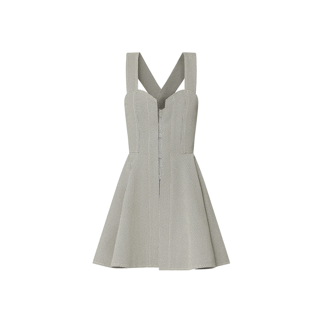 Louis Vuitton Zigzag Bodice Dress
