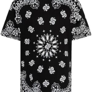 Supreme  x Hanes two-pack Bandana Tagless T-shirt